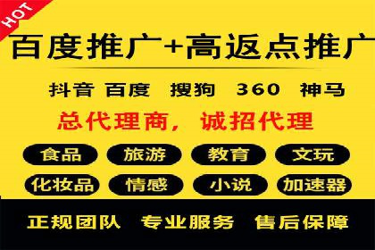 百度推广公司的成功案例：如何实现广告投资回报最大化